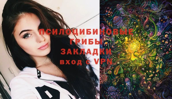 марки lsd Ельня