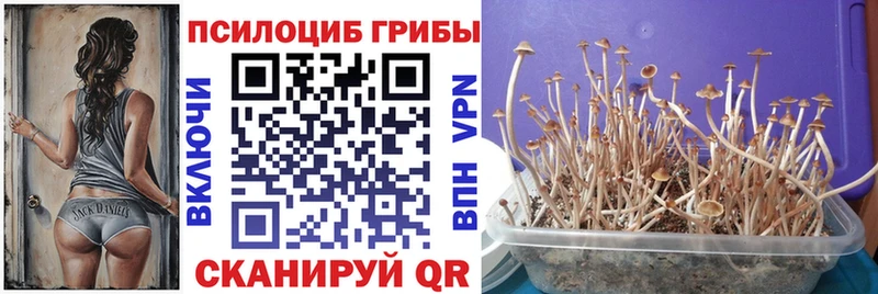 Псилоцибиновые грибы прущие грибы  Лениногорск 
