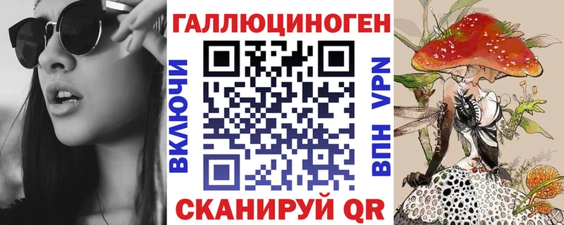 Псилоцибиновые грибы Psilocybine cubensis Лениногорск